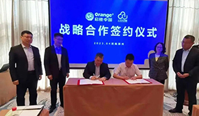 看起來(lái)很美、做起來(lái)很苦：凍品廠商自營(yíng)電商痛點(diǎn)怎么破？