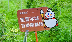 今日上市！覆蓋全球六大洲38個(gè)國(guó)家，“雪王”的采購(gòu)網(wǎng)到底有多牛？
